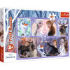 Trefl Puzzle 24 el. MAXI | Świat pełen magii FROZEN puzzle z motywem bajkowym