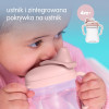 B.box zestaw 3w1 do nauki picia 240 ml – kubek, bidon i niekapek