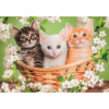 Puzzle 2×60 el. Super Color Zwierzęcy bracia Clementoni dla dzieci 4+