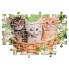 Puzzle 2×60 el. Super Color Zwierzęcy bracia Clementoni dla dzieci 4+