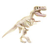 Skamieniałości T-Rex – zestaw paleontologa Clementoni dla dzieci 8+