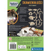 Skamieniałości Mamut – zestaw paleontologa Clementoni dla dzieci 8+