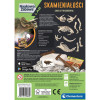 Skamieniałości Triceratops – zestaw paleontologa Clementoni dla dzieci 8+