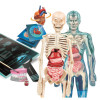 Super Anatomia – zestaw edukacyjny Clementoni dla dzieci 8+