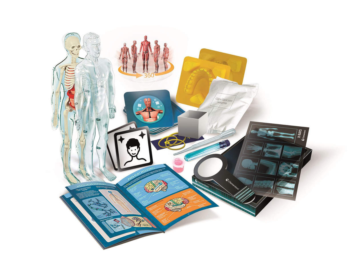 Zabawka edukacyjna anatomia człowieka