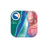 Super Anatomia – zestaw edukacyjny Clementoni dla dzieci 8+